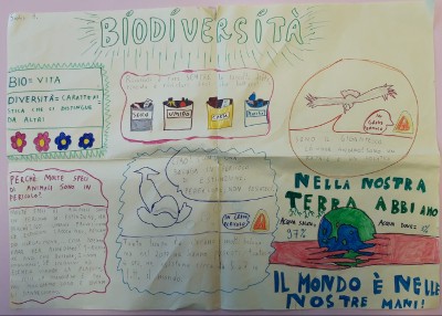 biodiversità e Bug Hotel a scuola