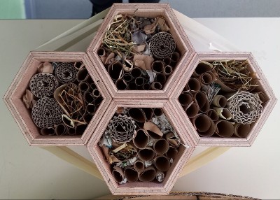 Bug hotel case per insetti