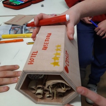 Costruire Bug House fai da te