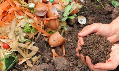 processo di compostaggio
