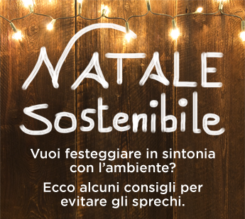 Natale sostenibile Natale sostenibile