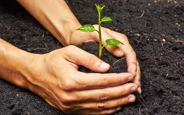 Compost