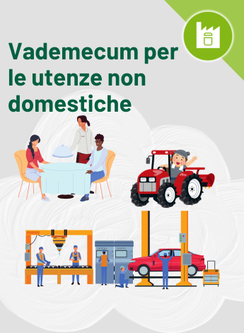 Widget Vademecum Utenze non domestiche