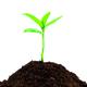 icona compost